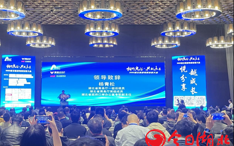 “相约光谷、共创未来” 2023湖北跨境电商发展大会助推产业高质量发展